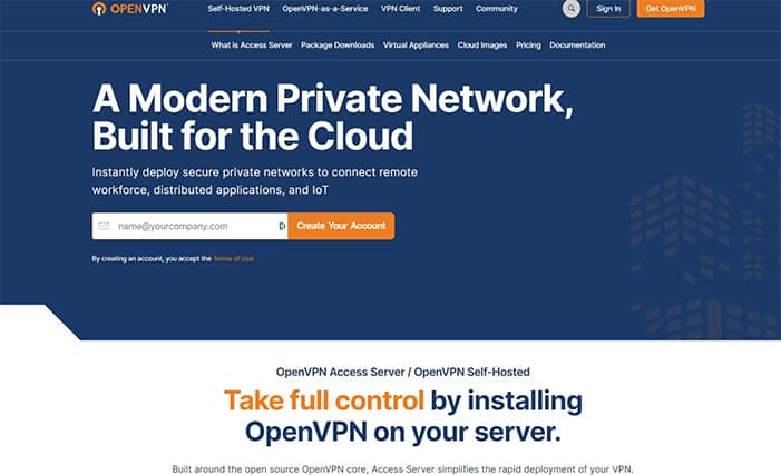 An image featuring OpenVPN website screenshot