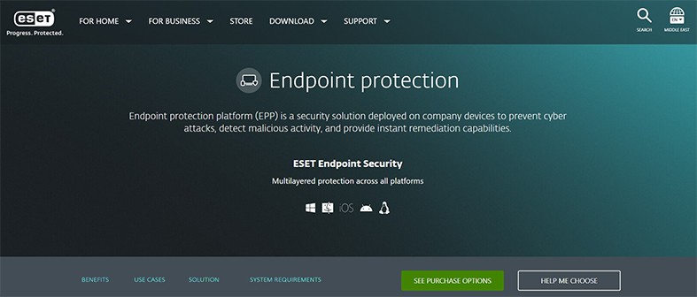 An image featuring ESET endpoint security website screenshot