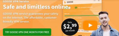Goose VPN homepage