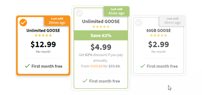 Goose_VPN_price