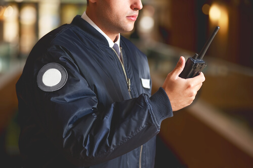 An image featuring a security agent representing authority concept