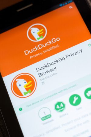 download duckduckgo browser for windows 10
