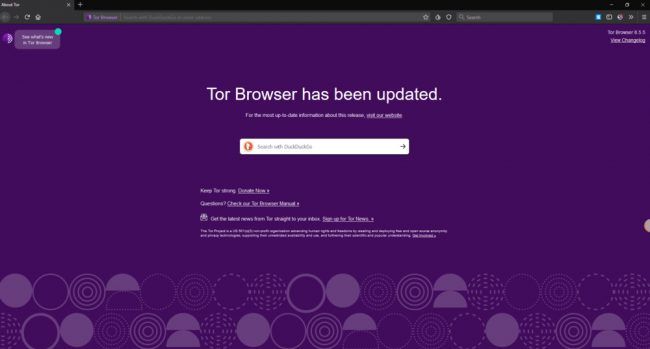 Screenshot of Tor browser