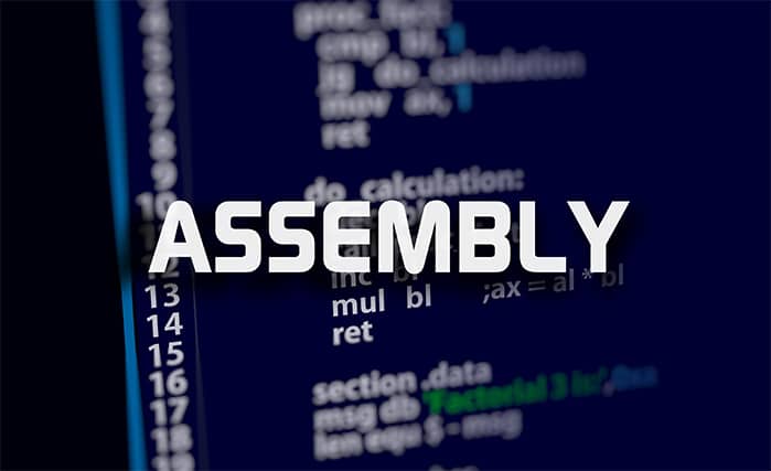An image featuring Assembly programming language concept