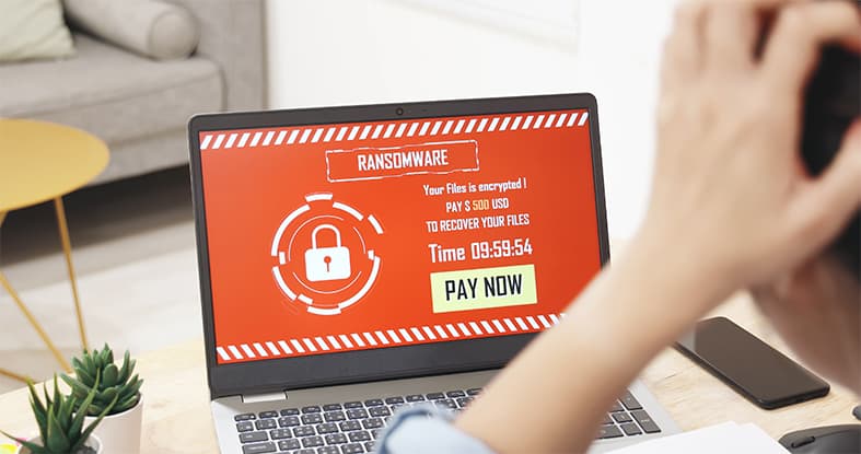 An image featuring ransomware concept