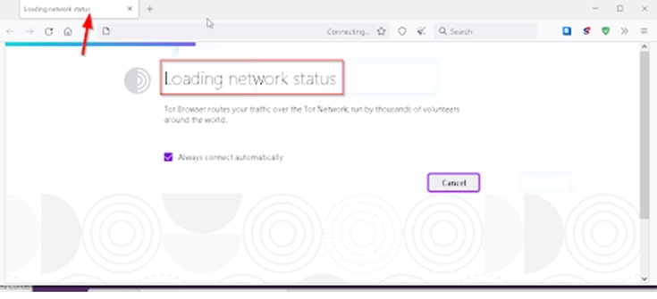 An image featuring loading network status screenshot