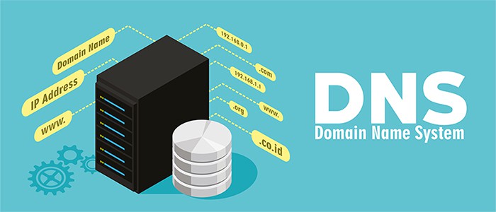 an image with DNS domain name system server vector illustration 