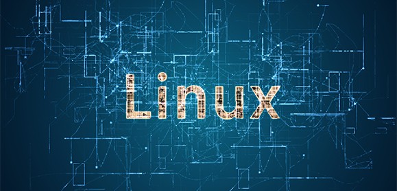 an image with Linux written on 3D