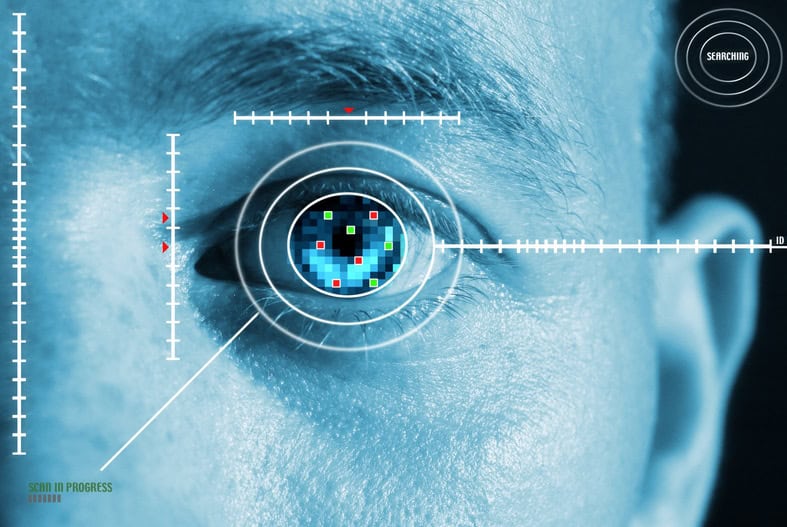 The Physical Design Features of the Eye Makes It a Unique Identifier During the Verification Process