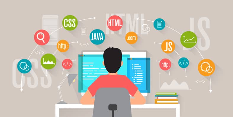 Web Developers Apply Programming Languages to Develop Software